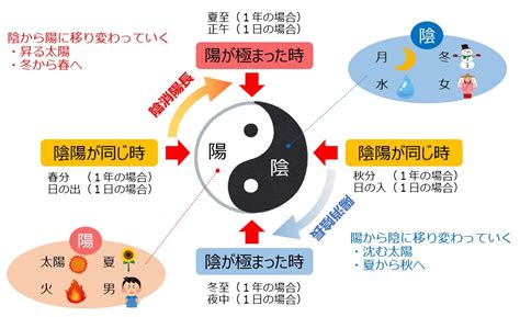 八字陰女|陰男、陽男、陰女、陽女